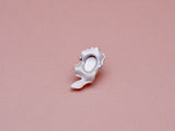 Flora & Fauna